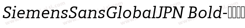 SiemensSansGlobalJPN Bold字体转换